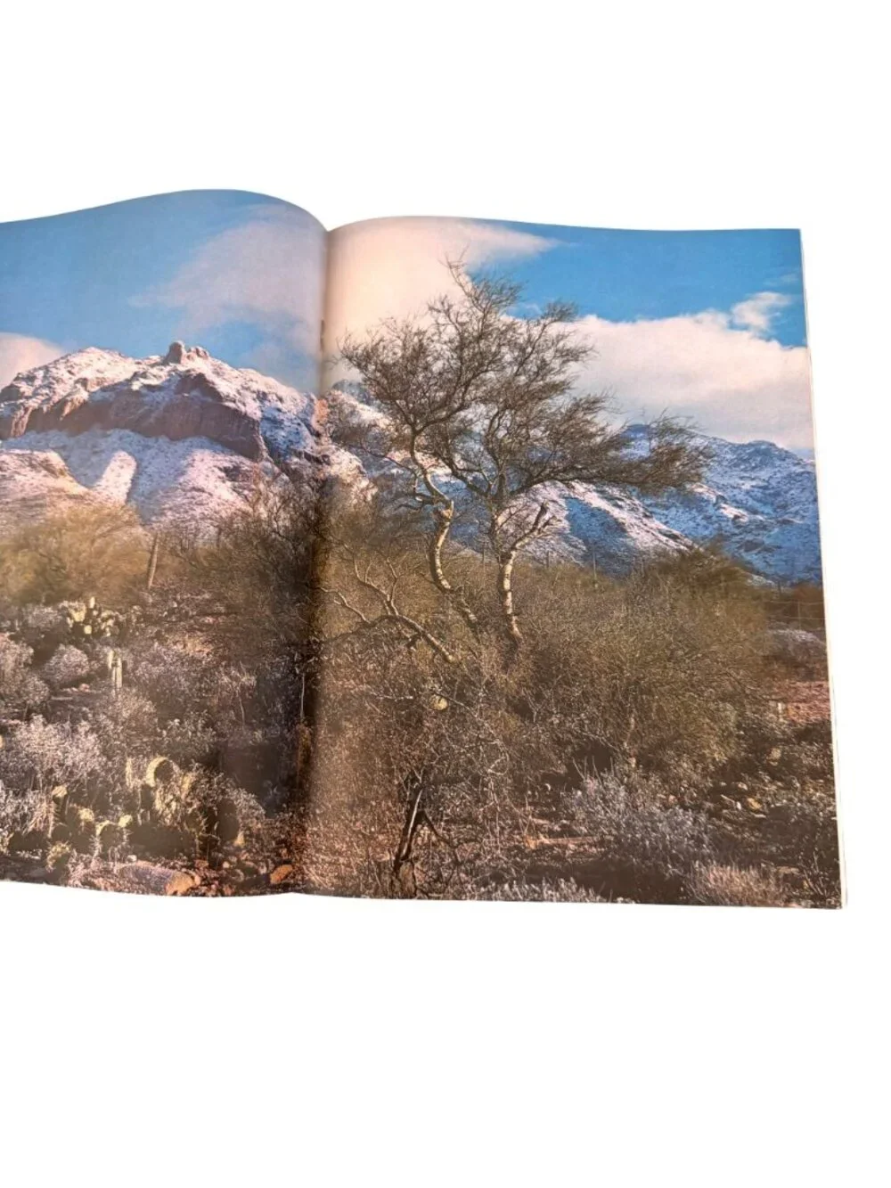 Arizona Highways Magazines April 1963 February 1972 VTG Photography Travel SW